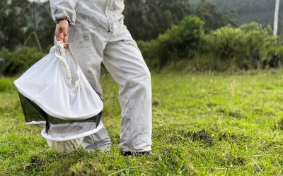 Nuestro Compromiso con la Apicultura